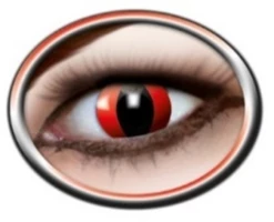 Lenzen Red Cat 3 Maanden