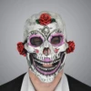 Masker Sugar Skull Catarina -MONNIKENDAM Verkoop wconn 399377