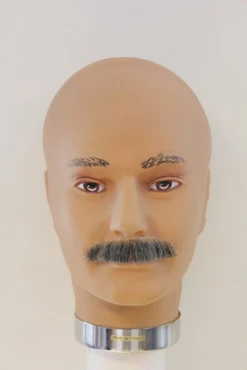 Plaksnor Echt Haar Recht Grijs