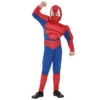 Spiderman Pak Met Spieren -MONNIKENDAM Verkoop wconn 400141