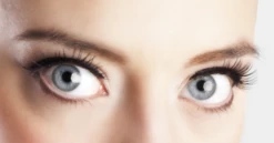 Wimpers Kort Delicate Zwart