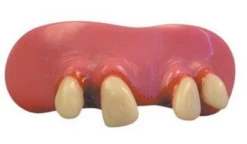 Billy Bob Jethro Gebit