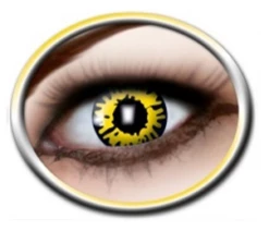 Lenzen Werewolf 3 Maanden