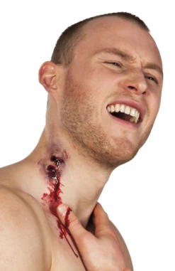 Nep Wond Vampierbeet Applicatie