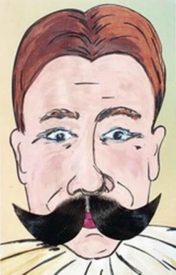 Plaksnor Echt Haar Circus Directeur Bruin