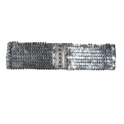 Taille Riem Pailletten Zilver