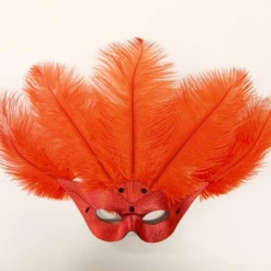 Oogmasker Vogelmodel Met Verentooi Rood