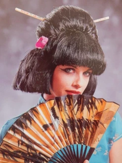 Geisha Pruik Modern
