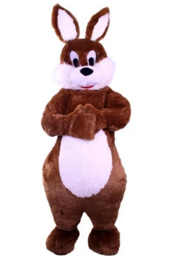 Paashaas Pak Met Buikje