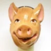 Kindermasker Varken
