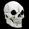 Ghoulish Masker White Skull 1
