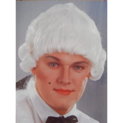 Rococo Pruik Heren Chique 1 Staart