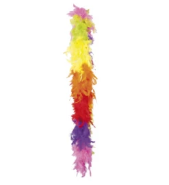 Boa Regenboog Kleuren 180 Cm