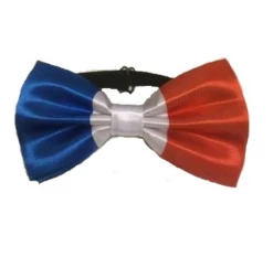 Strik Satijn Franse Vlag