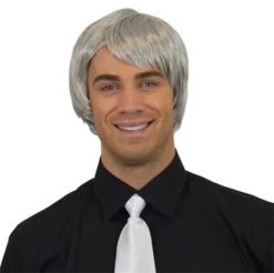 Heren Pruik Steil Haar Grijs