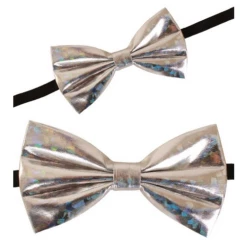 Strik Zilver Hologram