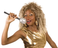 Tina Turner Pruik