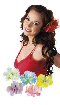 Hawaii Clip Hibiscus Ass