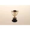 Mini Trofee 10cm -MONNIKENDAM Verkoop wconn 405939