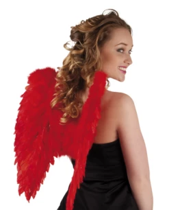 Engelenvleugels Rood 50×50