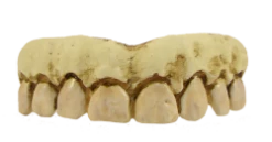 Billy Bob Skeleton Gebit