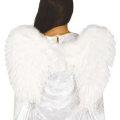 Vleugels Wit Met Veren 60x45cm