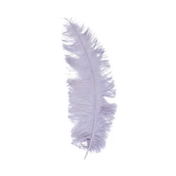 Struisveer Spadona Grijs 50-60cm