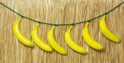 Bananen Riem