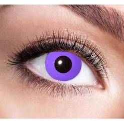 Lenzen Purple Gothic 1 Week