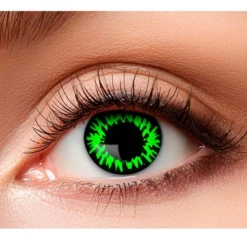 Lenzen She-wolf 1 Week