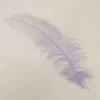 Struisveer Spadona Pastel Lila 50-60cm -MONNIKENDAM Verkoop wconn 470082