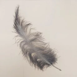 Struisveer Spadona Donker Grijs 50-60cm
