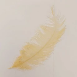 Struisveer Spadona Donker Zacht Abrikoos 50-60cm